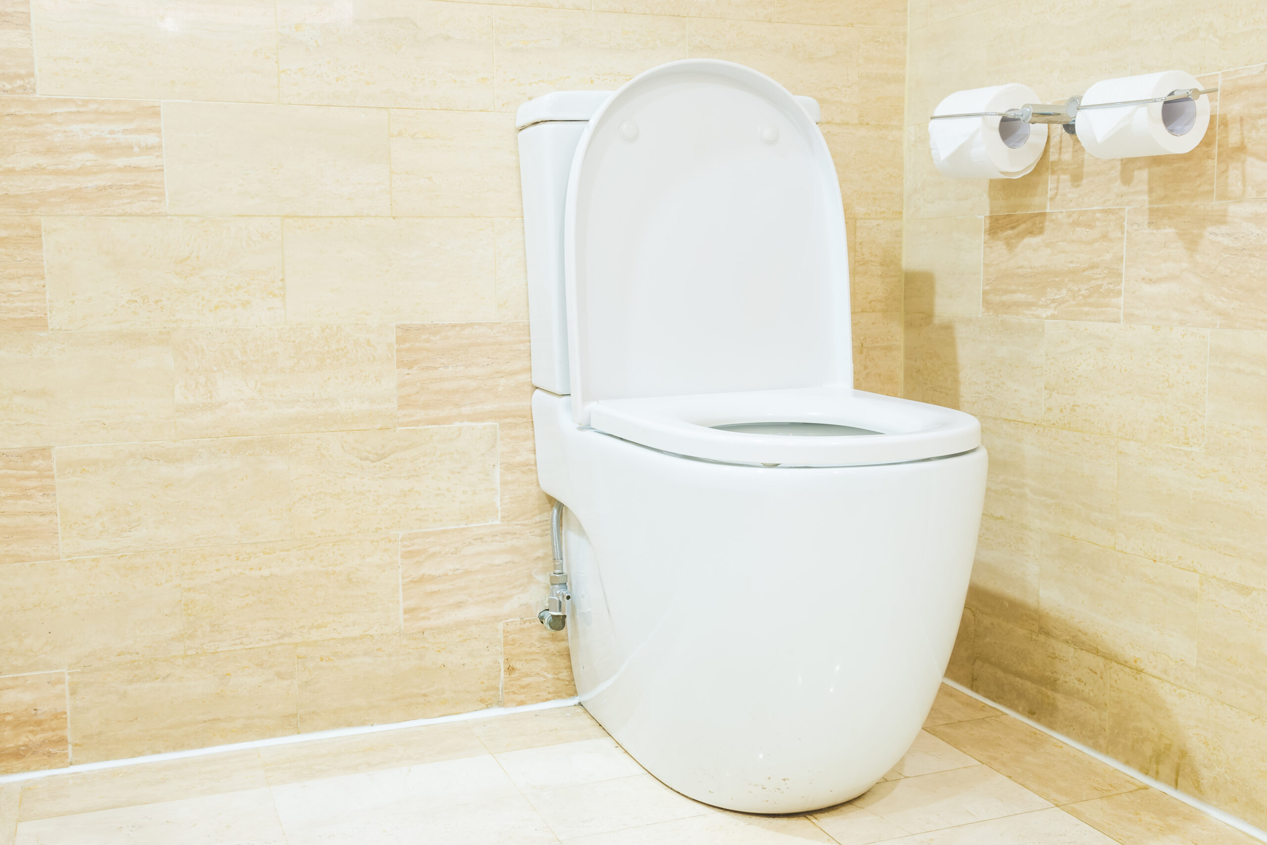 Top 10 Melhores Vaso Sanitário Monobloco